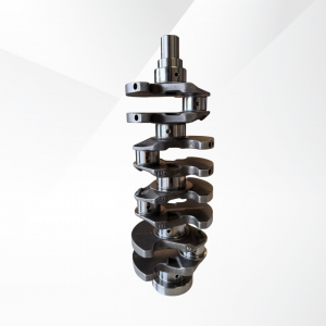 Crankshaft T6 4X2 GAS