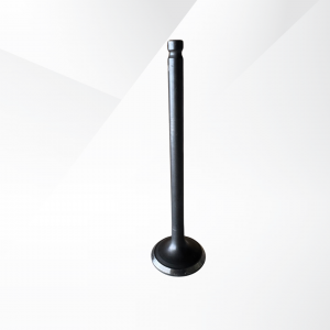 Exhaust Valve T6 4X2 GAS