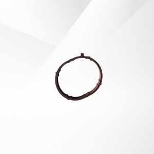 Intake Manifold Seal Ring JS2