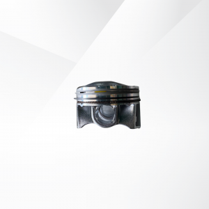 Pistons (with Rings) JS6