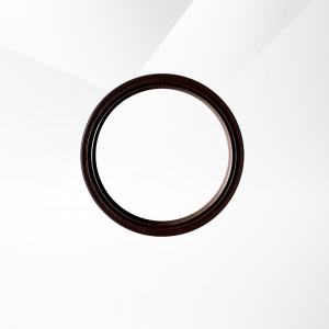 Rear Crankshaft Seal JS6