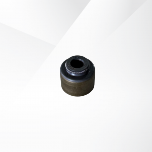 Valve Stem Seals T6 4X2 GAS